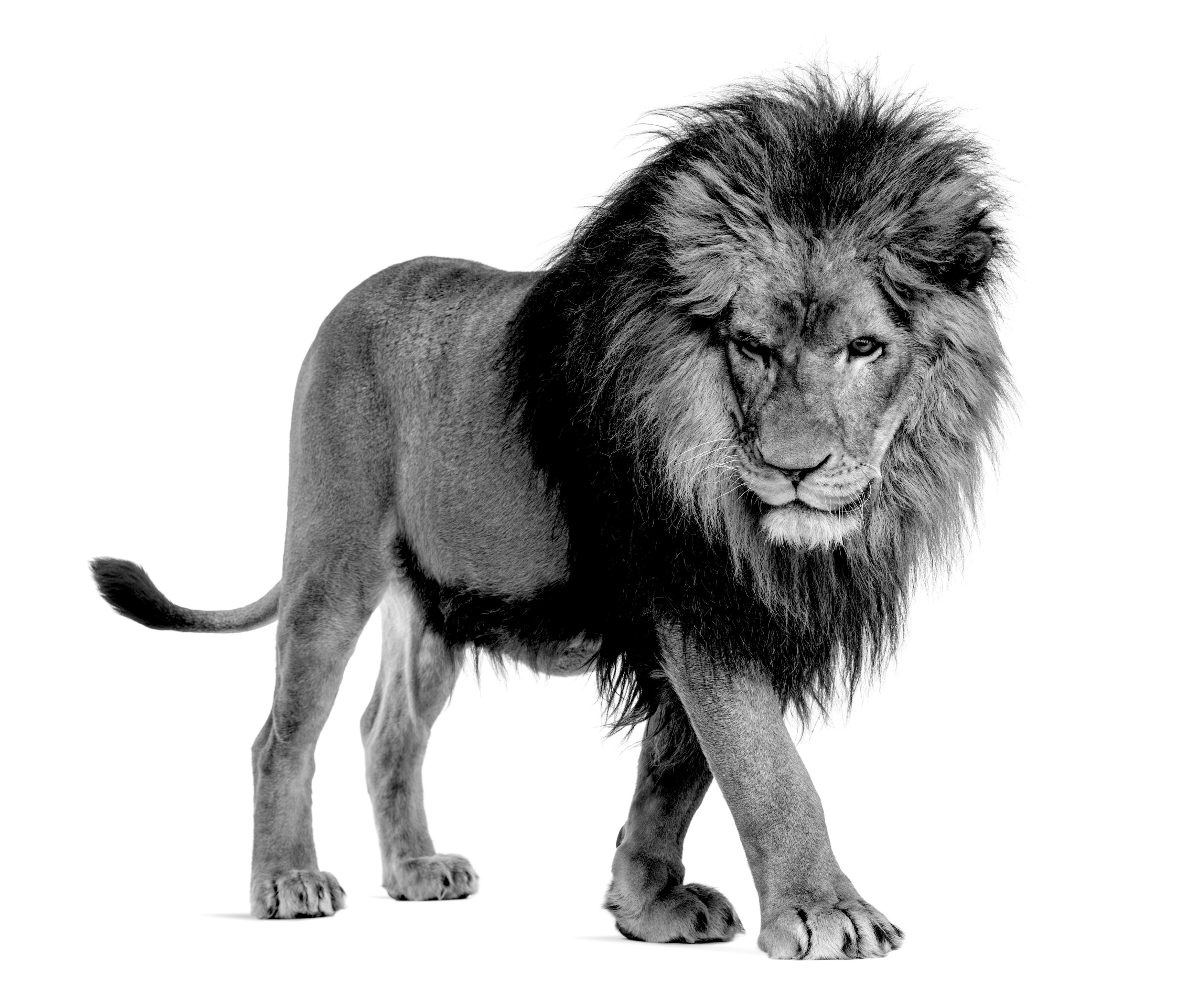 shutterstock_165448370 2-1